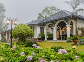 Garfield Bungalow by TONIK，位于哈普特莱的酒店