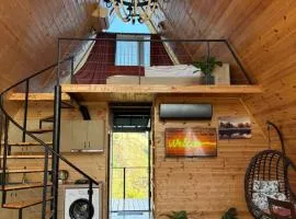 Cottage Korolistavi HillShade