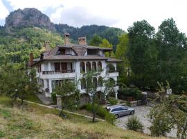Family Hotel Silver，位于斯莫梁的酒店