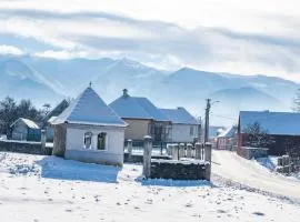 Curte la Munte - charming village house