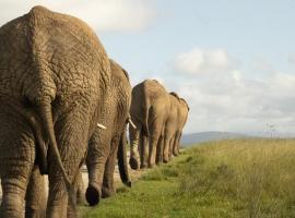 Knysna Elephant Park Lodge，位于普利登堡湾的酒店