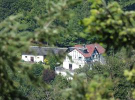 Apartment in Waldbreitbach mit Whirlpool by Interhome，位于Waldbreitbach的酒店