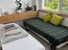 Kaunas Homestay，位于考纳斯的酒店