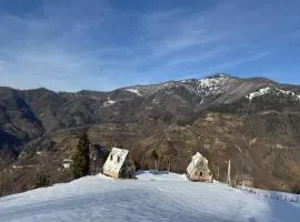 GREEN GUNDAURI