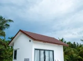 The Rock Coco Villa 2