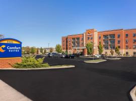 Comfort Suites Florence - Cincinnati South，位于弗洛伦斯的酒店