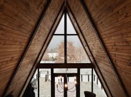 Lakewood Cabin - Surduc Lake，位于F&icirc;rdea的木屋