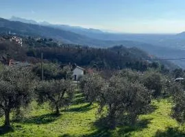 Valdonica - Relax in campagna