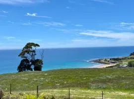 Penguin Seaside Farm