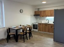 Villa Amarotico byt 3 Plesná