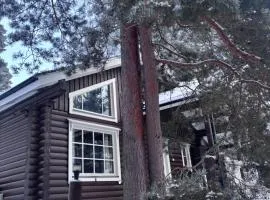 Latvahonka Cottage