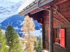 Les Diablerets - Charming Chalet with View
