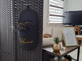 Meublé 3 étoiles en centre-ville