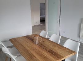 Casa Nițică，位于瓦斯卢伊的带停车场的酒店