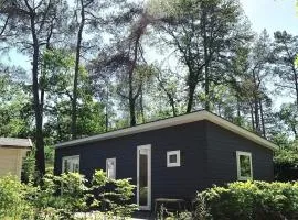 Lodge De Winterkoning