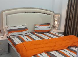 prince appartement，位于科纳克里的酒店