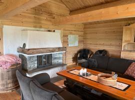 Spacious cabin on Nesfjellet, Nesbyen，位于内斯比恩的酒店