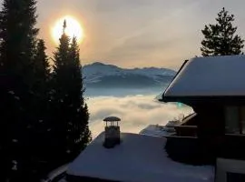 Ferienwohnung im Skigebiet