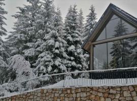 ZlatAir Twins 2，位于新瓦罗什的木屋