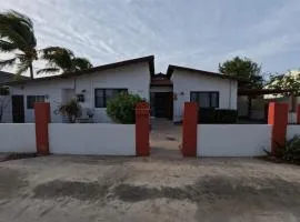 Palm Beach 278