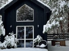 Domki Wśród Boru Sosnowego, Śródborze，位于Julianów的酒店