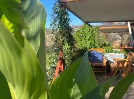 Söğüt Taşlıca Erol Köy Evi