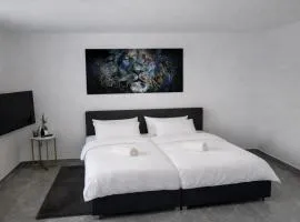 Exklusive Moderne Wohnung Hanau