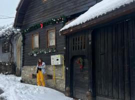 Casa veche “Old house”，位于思贝儿的酒店