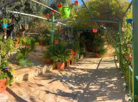 بيت الطبيعة nature house，位于杰拉什的带停车场的酒店