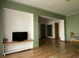 Sighet Central Suites Maramureș
