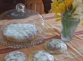 Farfalle in fiore Guesthouse