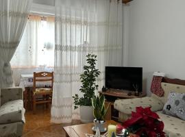 Apartament，位于Leskovik的酒店