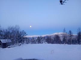 Gullingen Cabin Winter Wonderland，位于Bergjord的酒店