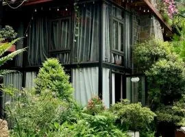 Bách Xanh House. Nhà ống khói