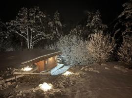 Natura Sauna，位于劳拉斯玛的乡村别墅