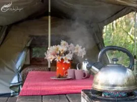 WA Wilderness Camping Experience