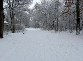 Het Veluwse Boshuisje Hond welkom in Hoenderloo