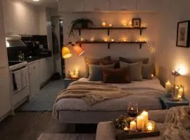 Modern Studio-Apartment Close to Stockholm