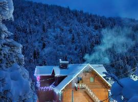 Pensiunea Cabana Viselor ,Apuseni，位于Vadu Moţilor的酒店