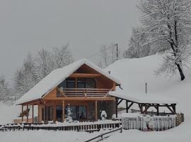 Cabana de sub mesteceni，位于Mătişeşti的酒店