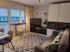 Silver Apartament Kowary，位于科瓦雷的酒店