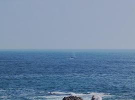 Huatunalco Beach Hotel，位于Cuatunalco的酒店