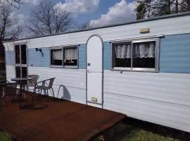 Královna - Camp pod kaštany