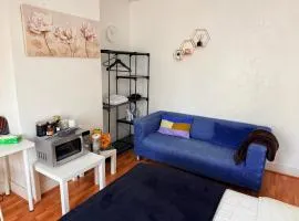 Blue Room Close To Wembley Stadium