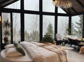 Noma Cabin，位于Măguri的酒店