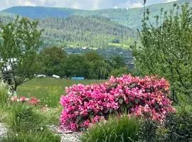 Pokoj U lesa Zaolší