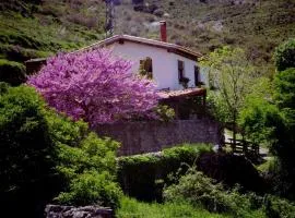 Riojania Traditio Mountain