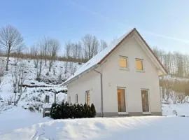 Frankenwald Chalets - Ferienhaus mit privaten Whirlpool