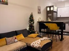 Apartman Marjanović Palić