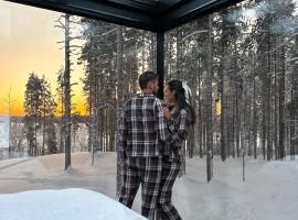 Levi OloResort，位于列维的酒店